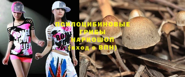 дурь Наволоки