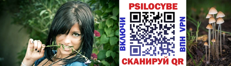 kraken как зайти  Новочебоксарск  Псилоцибиновые грибы Psilocybe 