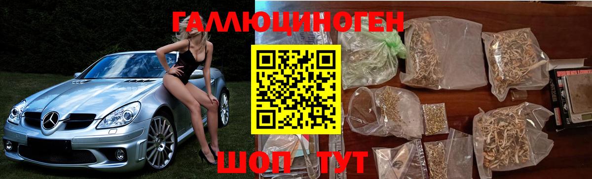 Новочебоксарск  Псилоцибиновые грибы мухоморы  Вход с VPN 